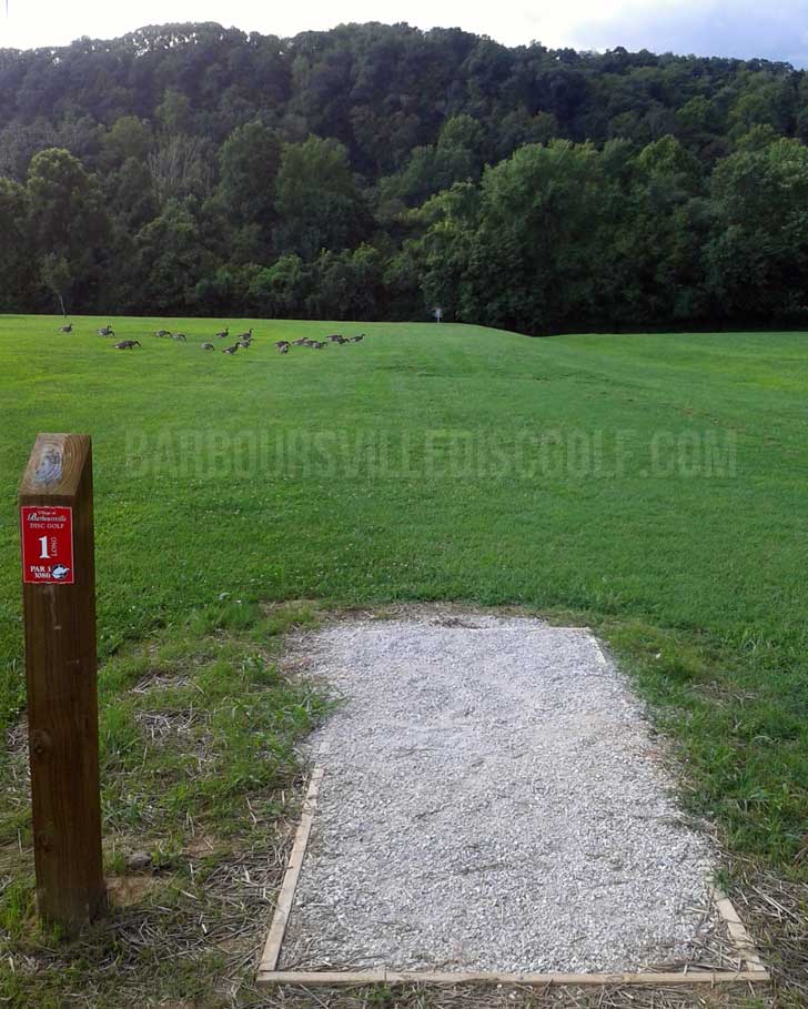 Hole 1 Long Tee | Barboursville Disc Golf
